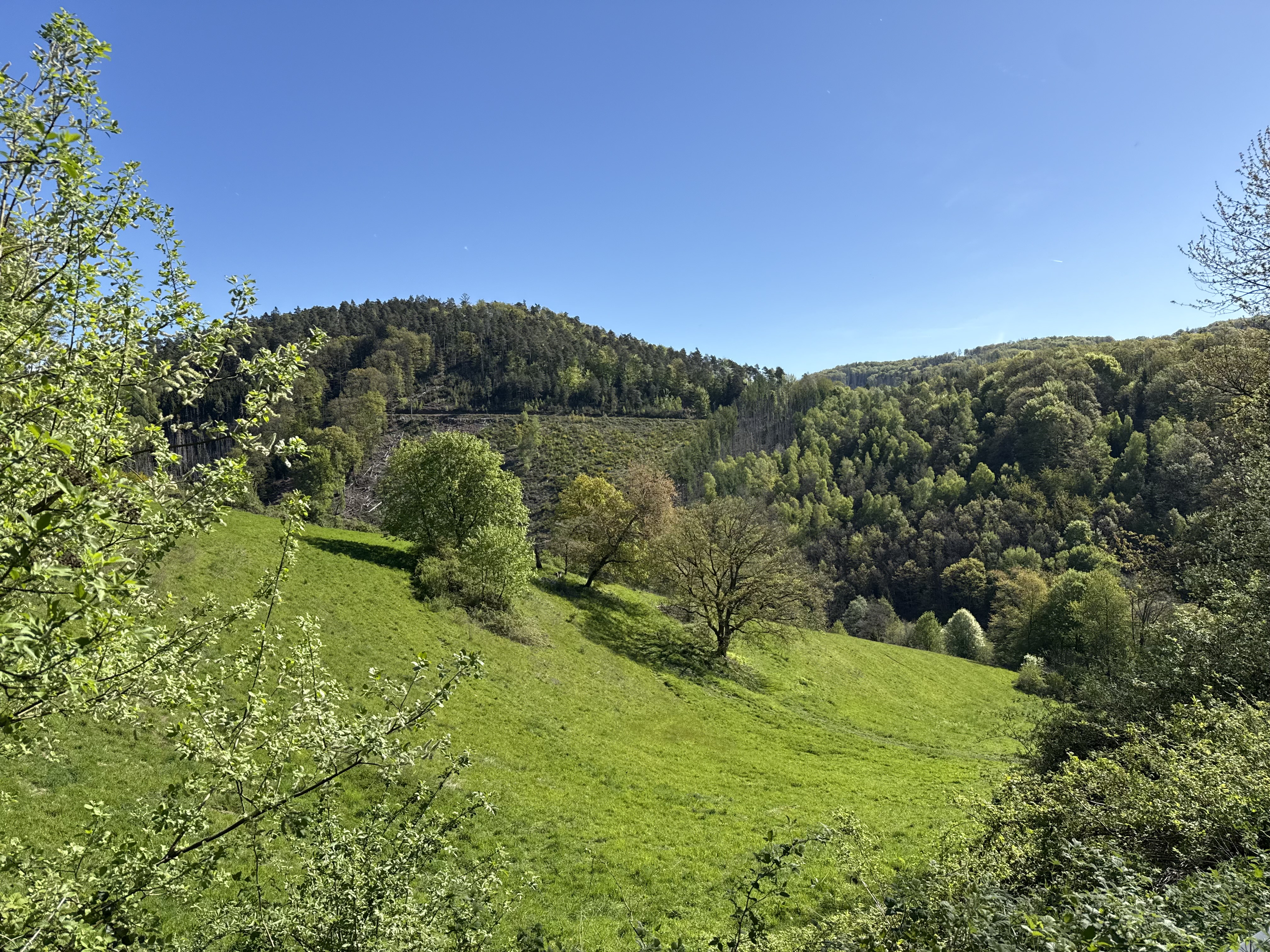 Natur rund um Oesinghausen